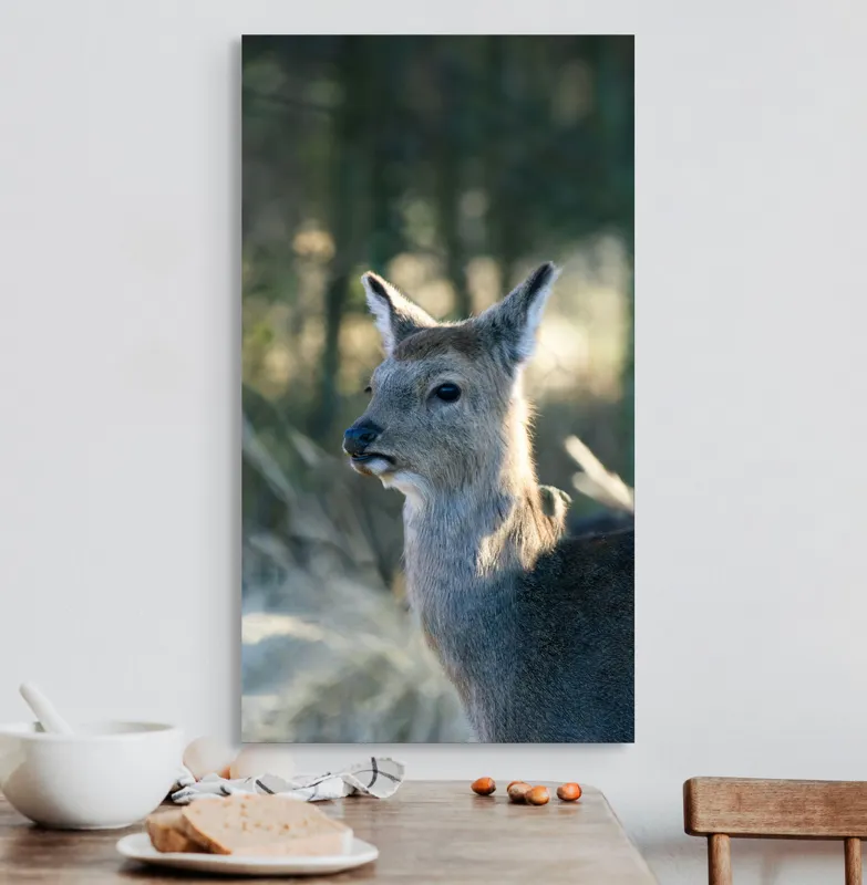 Tablou Canvas, "Misterul pădurii de iarnă", Iepure, Pădure, Lumină, Blană, Natură, Eleganță, Calm, Animal, Privire, Calmitate, 50 x 90 cm – poza 3