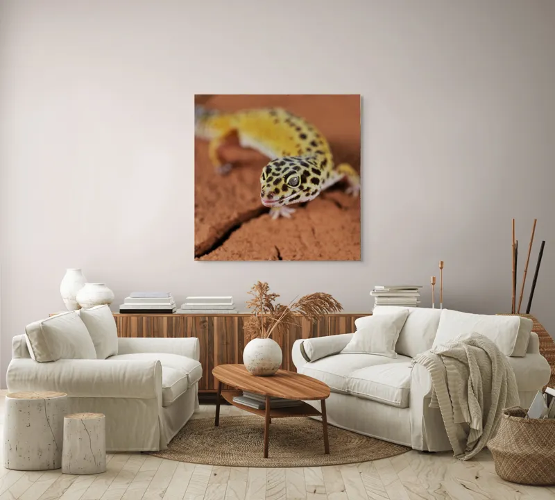 Tablou Canvas, "Șopârla printre fisuri aride pământii", Gekko, Piele, Pete, Repede, Pământ, Fracturi, Ochi, Galben, Negru, Textură, 100 x 100 cm – poza 3