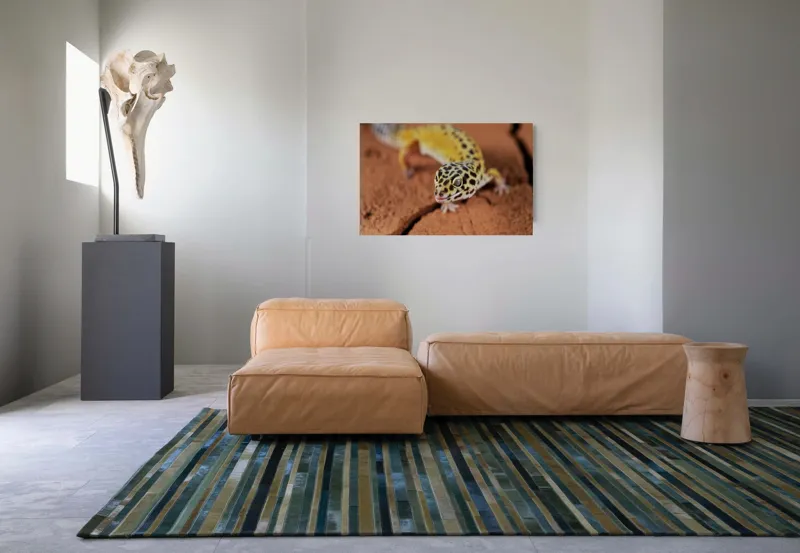 Tablou Canvas, "Șopârla printre fisuri aride pământii", Gekko, Piele, Pete, Repede, Pământ, Fracturi, Ochi, Galben, Negru, Textură, 90 x 50 cm – poza 8