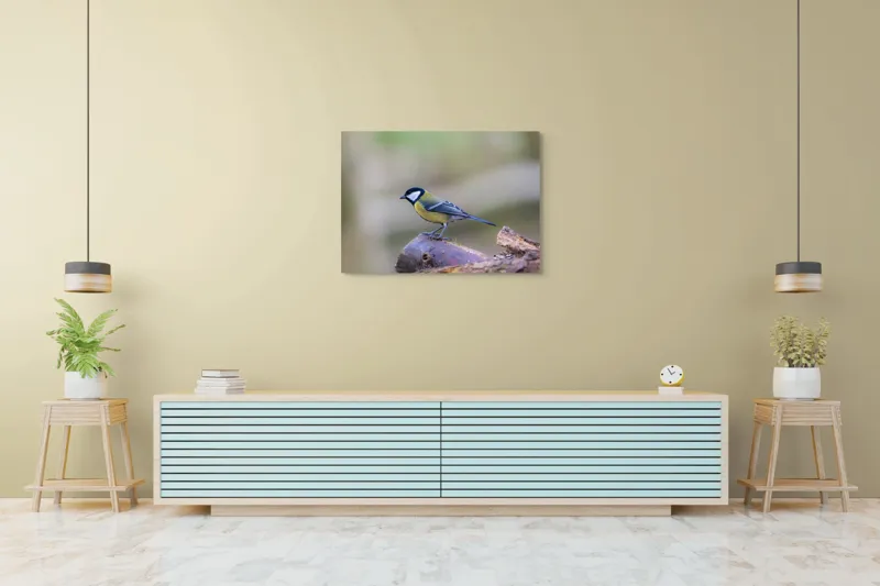 Tablou Canvas, "Pițigoiul curios pe ramura pădurii", Pasăre, Ramură, Colorată, Natură, Detaliu, Aripi, Pene, Frumusețe, Echilibru, Măiestrie, 100 x 70 cm – poza 4
