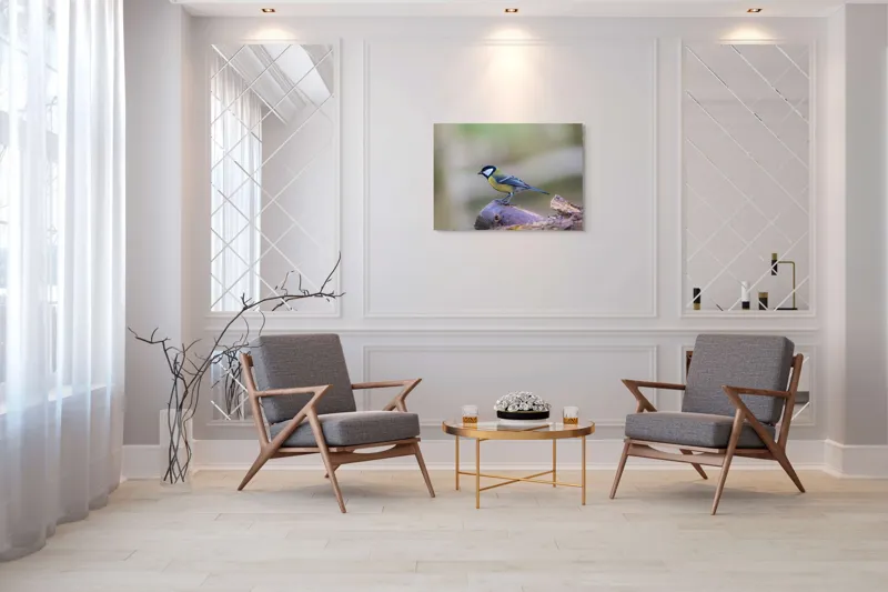 Tablou Canvas, "Pițigoiul curios pe ramura pădurii", Pasăre, Ramură, Colorată, Natură, Detaliu, Aripi, Pene, Frumusețe, Echilibru, Măiestrie, 100 x 70 cm – poza 5
