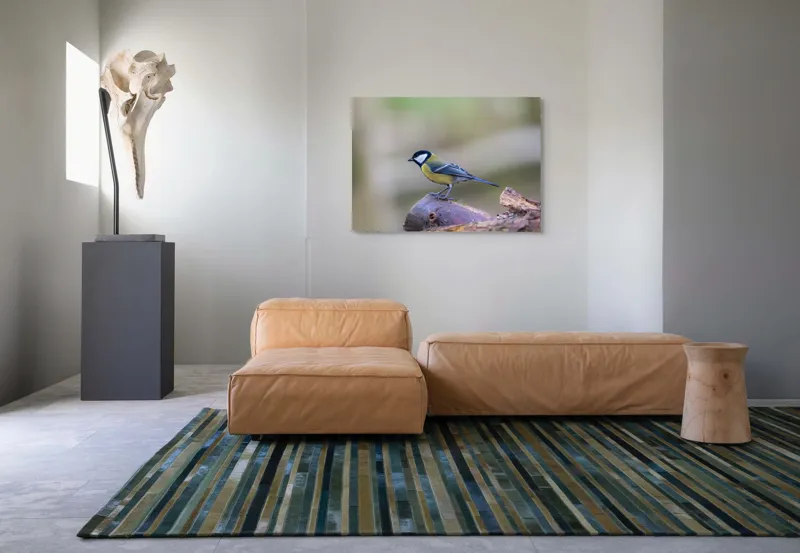 Tablou Canvas, "Pițigoiul curios pe ramura pădurii", Pasăre, Ramură, Colorată, Natură, Detaliu, Aripi, Pene, Frumusețe, Echilibru, Măiestrie, 100 x 70 cm – poza 7