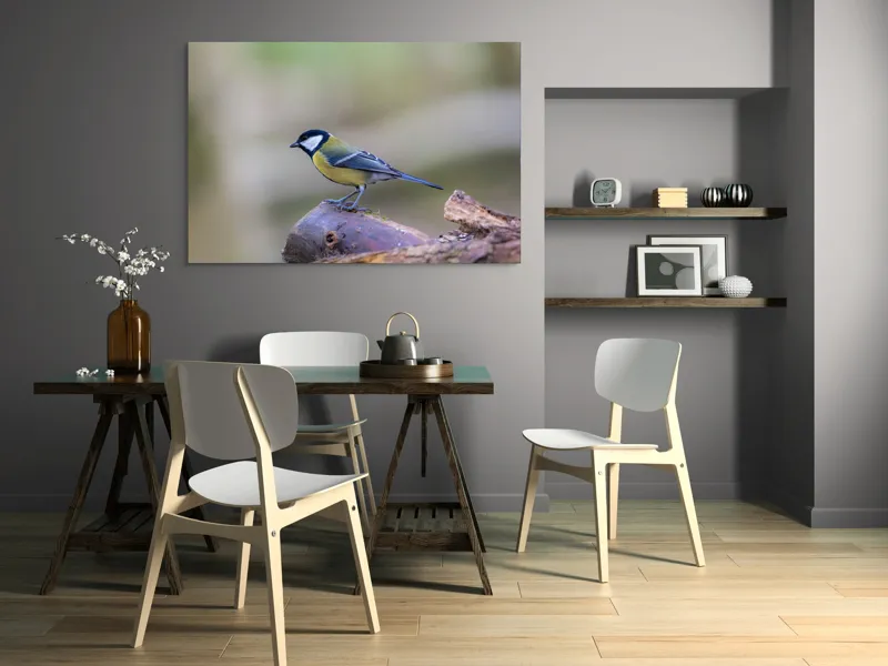 Tablou Canvas, "Pițigoiul curios pe ramura pădurii", Pasăre, Ramură, Colorată, Natură, Detaliu, Aripi, Pene, Frumusețe, Echilibru, Măiestrie, 150 x 100 cm – poza 5