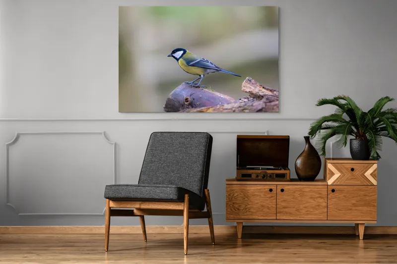 Tablou Canvas, "Pițigoiul curios pe ramura pădurii", Pasăre, Ramură, Colorată, Natură, Detaliu, Aripi, Pene, Frumusețe, Echilibru, Măiestrie, 150 x 100 cm – poza 8