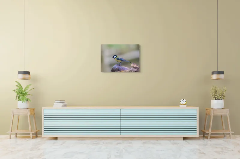 Tablou Canvas, "Pițigoiul curios pe ramura pădurii", Pasăre, Ramură, Colorată, Natură, Detaliu, Aripi, Pene, Frumusețe, Echilibru, Măiestrie, 70 x 50 cm – poza 7