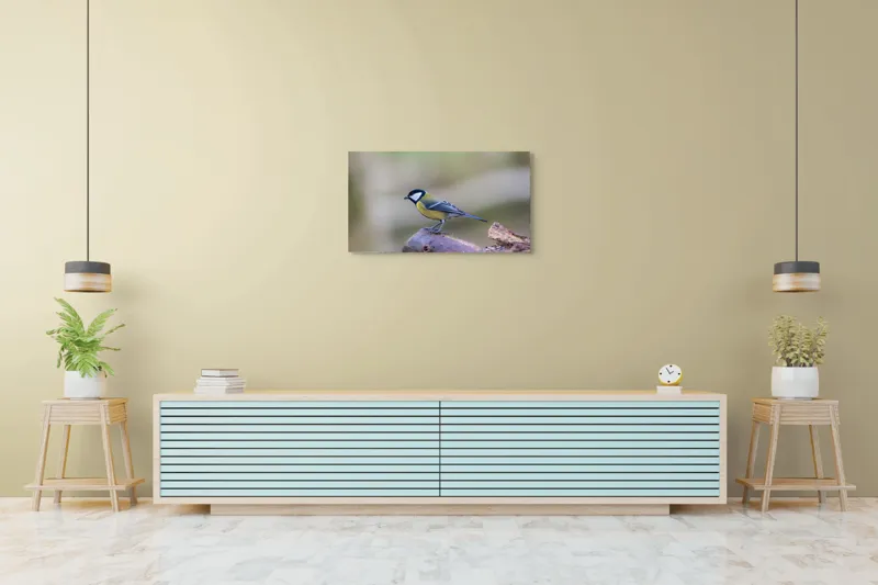 Tablou Canvas, "Pițigoiul curios pe ramura pădurii", Pasăre, Ramură, Colorată, Natură, Detaliu, Aripi, Pene, Frumusețe, Echilibru, Măiestrie, 90 x 50 cm – poza 5