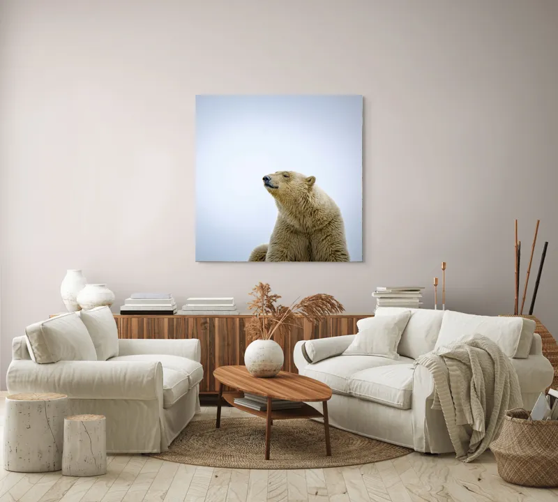 Tablou Canvas, "Urs polar sub cerul arctic", Urs, Alb, Arctic, Cald, Liniștit, Natural, Frig, Blană, Cer, Aspru, 100 x 100 cm – poza 3