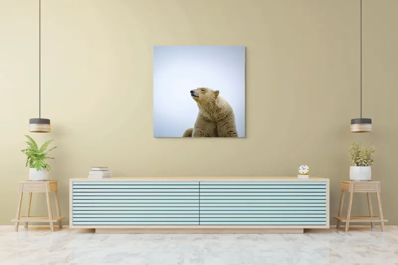 Tablou Canvas, "Urs polar sub cerul arctic", Urs, Alb, Arctic, Cald, Liniștit, Natural, Frig, Blană, Cer, Aspru, 100 x 100 cm – poza 5