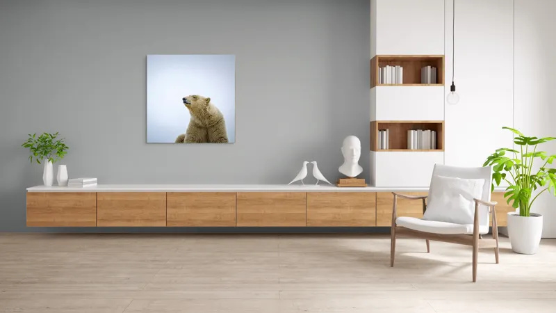 Tablou Canvas, "Urs polar sub cerul arctic", Urs, Alb, Arctic, Cald, Liniștit, Natural, Frig, Blană, Cer, Aspru, 100 x 100 cm – poza 8