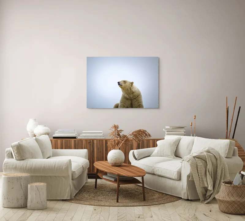 Tablou Canvas, "Urs polar sub cerul arctic", Urs, Alb, Arctic, Cald, Liniștit, Natural, Frig, Blană, Cer, Aspru, 100 x 70 cm – poza 3