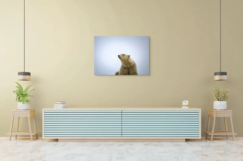 Tablou Canvas, "Urs polar sub cerul arctic", Urs, Alb, Arctic, Cald, Liniștit, Natural, Frig, Blană, Cer, Aspru, 100 x 70 cm – poza 4