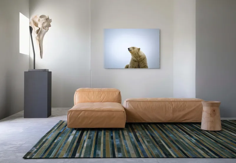 Tablou Canvas, "Urs polar sub cerul arctic", Urs, Alb, Arctic, Cald, Liniștit, Natural, Frig, Blană, Cer, Aspru, 100 x 70 cm – poza 7