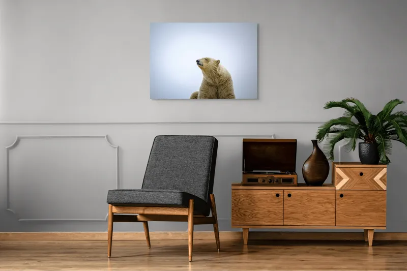 Tablou Canvas, "Urs polar sub cerul arctic", Urs, Alb, Arctic, Cald, Liniștit, Natural, Frig, Blană, Cer, Aspru, 100 x 70 cm – poza 8