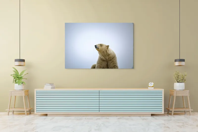 Tablou Canvas, "Urs polar sub cerul arctic", Urs, Alb, Arctic, Cald, Liniștit, Natural, Frig, Blană, Cer, Aspru, 150 x 100 cm – poza 6