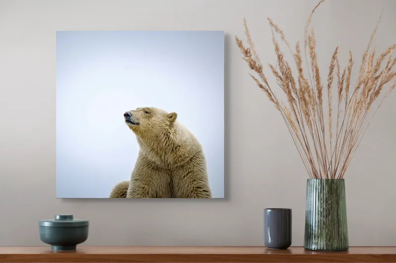 Tablou Canvas, "Urs polar sub cerul arctic", Urs, Alb, Arctic, Cald, Liniștit, Natural, Frig, Blană, Cer, Aspru, 50 x 50 cm – poza 4