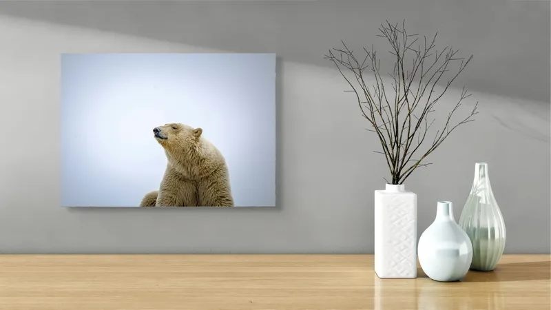 Tablou Canvas, "Urs polar sub cerul arctic", Urs, Alb, Arctic, Cald, Liniștit, Natural, Frig, Blană, Cer, Aspru, 54 x 39 cm – poza 3