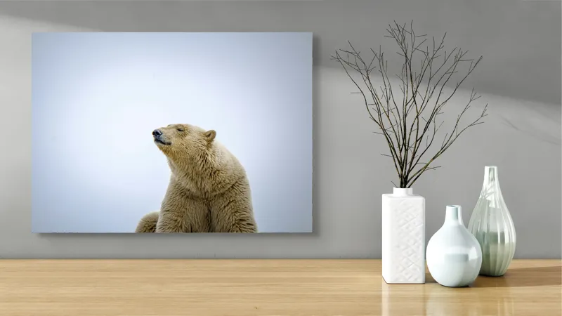 Tablou Canvas, "Urs polar sub cerul arctic", Urs, Alb, Arctic, Cald, Liniștit, Natural, Frig, Blană, Cer, Aspru, 70 x 50 cm – poza 3