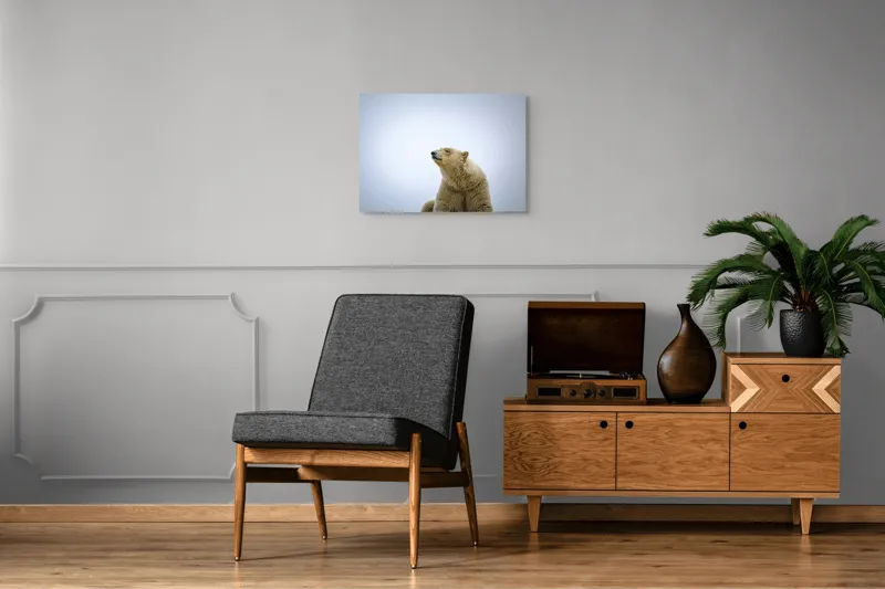 Tablou Canvas, "Urs polar sub cerul arctic", Urs, Alb, Arctic, Cald, Liniștit, Natural, Frig, Blană, Cer, Aspru, 70 x 50 cm – poza 4