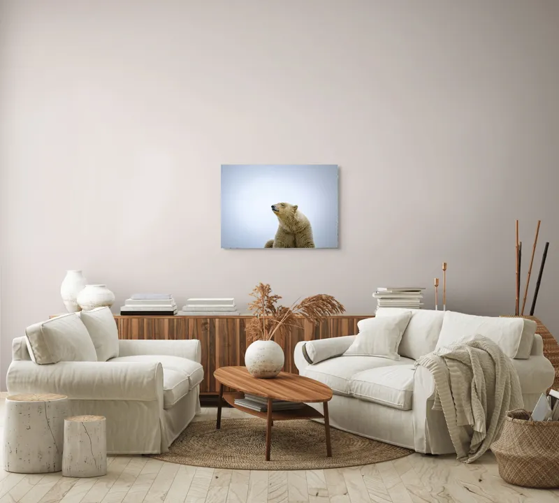 Tablou Canvas, "Urs polar sub cerul arctic", Urs, Alb, Arctic, Cald, Liniștit, Natural, Frig, Blană, Cer, Aspru, 70 x 50 cm – poza 6