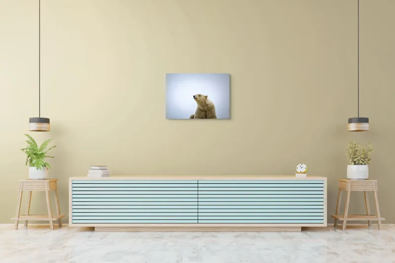 Tablou Canvas, "Urs polar sub cerul arctic", Urs, Alb, Arctic, Cald, Liniștit, Natural, Frig, Blană, Cer, Aspru, 70 x 50 cm – poza 7
