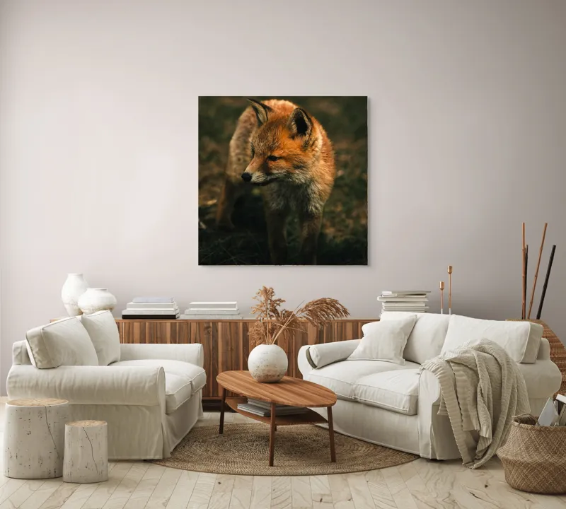 Tablou Canvas, "Vulpe în lumina înserării pe câmpie", Vulpe, Blană, Curiozitate, Pajiște, Natură, Sălbăticie, Prudență, Agilitate, Eleganță, Observare, 100 x 100 cm – poza 3