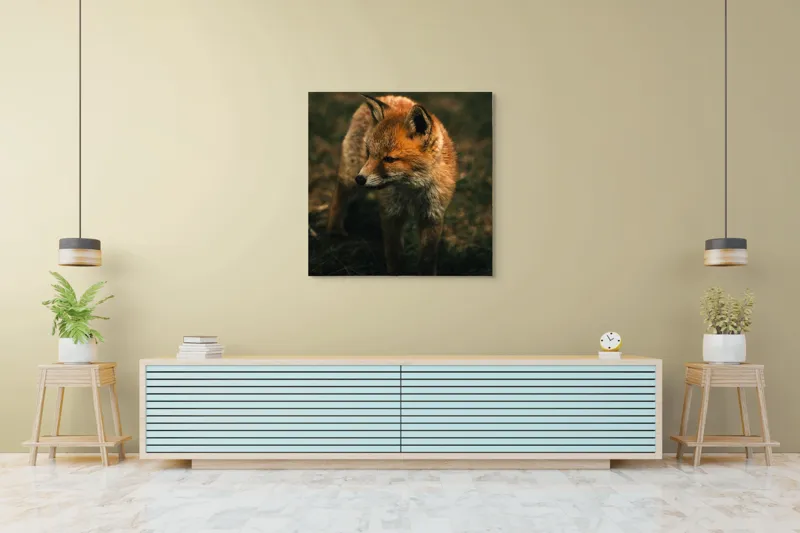 Tablou Canvas, "Vulpe în lumina înserării pe câmpie", Vulpe, Blană, Curiozitate, Pajiște, Natură, Sălbăticie, Prudență, Agilitate, Eleganță, Observare, 100 x 100 cm – poza 5