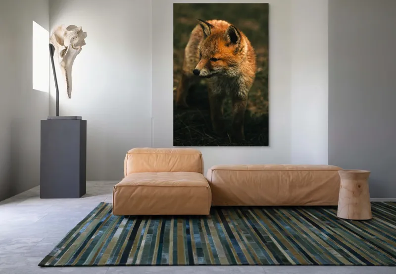 Tablou Canvas, "Vulpe în lumina înserării pe câmpie", Vulpe, Blană, Curiozitate, Pajiște, Natură, Sălbăticie, Prudență, Agilitate, Eleganță, Observare, 100 x 150 cm – poza 7