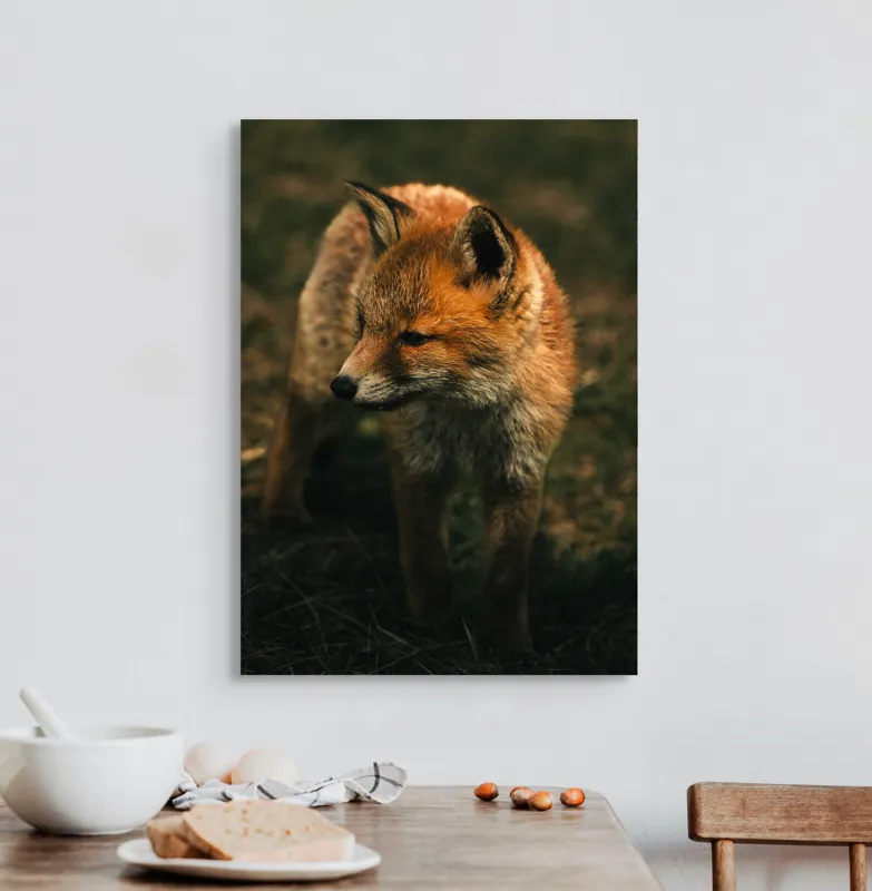 Tablou Canvas, "Vulpe în lumina înserării pe câmpie", Vulpe, Blană, Curiozitate, Pajiște, Natură, Sălbăticie, Prudență, Agilitate, Eleganță, Observare, 50 x 70 cm – poza 3
