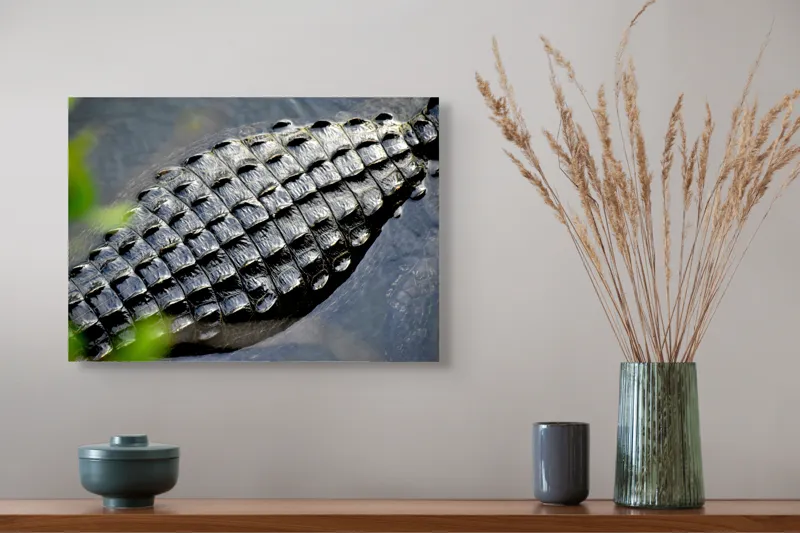 Tablou Canvas, "Textura armurii de crocodil în apă", Solzi, Textură, Reptilă, Apă, Natură, 54 x 39 cm – poza 4