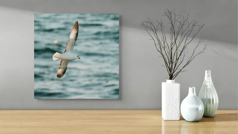 Tablou Canvas, "Zborul liniștit al pescărușului", Pasăre, Zbor, Ocean, Libertate, Aripi, Natură, Cer, Peisaj, Viață, Liniște, 50 x 50 cm – poza 3