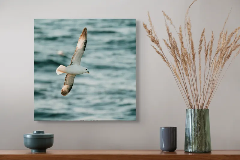 Tablou Canvas, "Zborul liniștit al pescărușului", Pasăre, Zbor, Ocean, Libertate, Aripi, Natură, Cer, Peisaj, Viață, Liniște, 50 x 50 cm – poza 4