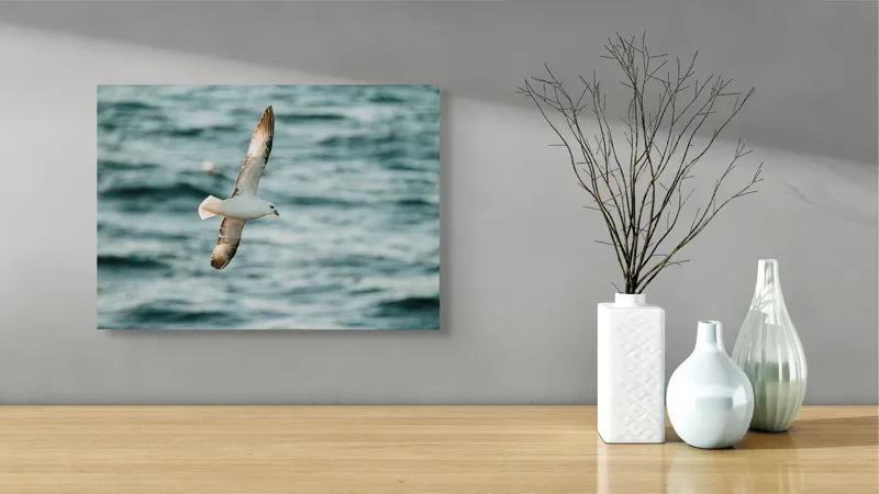 Tablou Canvas, "Zborul liniștit al pescărușului", Pasăre, Zbor, Ocean, Libertate, Aripi, Natură, Cer, Peisaj, Viață, Liniște, 54 x 39 cm – poza 3