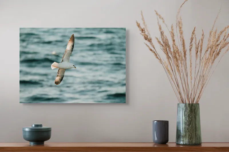 Tablou Canvas, "Zborul liniștit al pescărușului", Pasăre, Zbor, Ocean, Libertate, Aripi, Natură, Cer, Peisaj, Viață, Liniște, 54 x 39 cm – poza 4