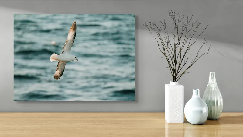 Tablou Canvas, "Zborul liniștit al pescărușului", Pasăre, Zbor, Ocean, Libertate, Aripi, Natură, Cer, Peisaj, Viață, Liniște, 70 x 50 cm – poza 3