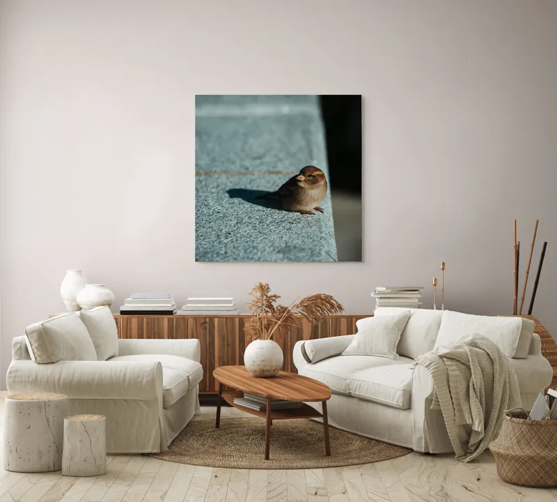Tablou Canvas, "Vrăbiuța pe marginea zidului gri", Pasăre, Umbra, Piatră, Lumina, Privire, Fragilitate, Singurătate, 100 x 100 cm – poza 3