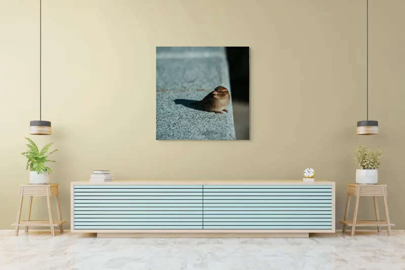 Tablou Canvas, "Vrăbiuța pe marginea zidului gri", Pasăre, Umbra, Piatră, Lumina, Privire, Fragilitate, Singurătate, 100 x 100 cm – poza 5