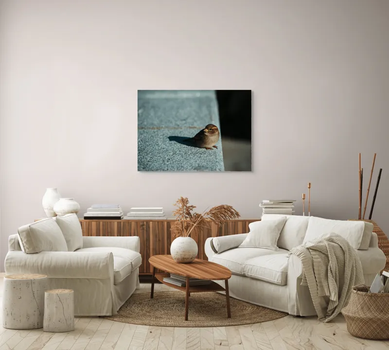 Tablou Canvas, "Vrăbiuța pe marginea zidului gri", Pasăre, Umbra, Piatră, Lumina, Privire, Fragilitate, Singurătate, 100 x 70 cm – poza 3
