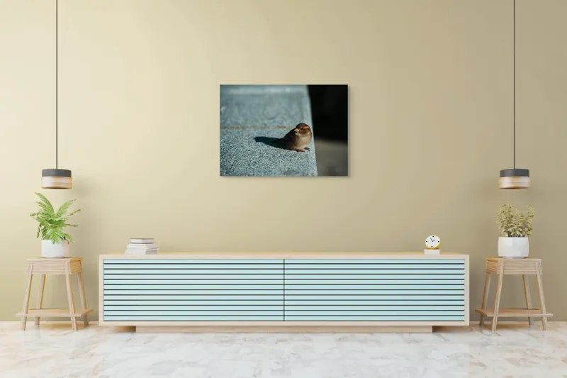 Tablou Canvas, "Vrăbiuța pe marginea zidului gri", Pasăre, Umbra, Piatră, Lumina, Privire, Fragilitate, Singurătate, 100 x 70 cm – poza 4