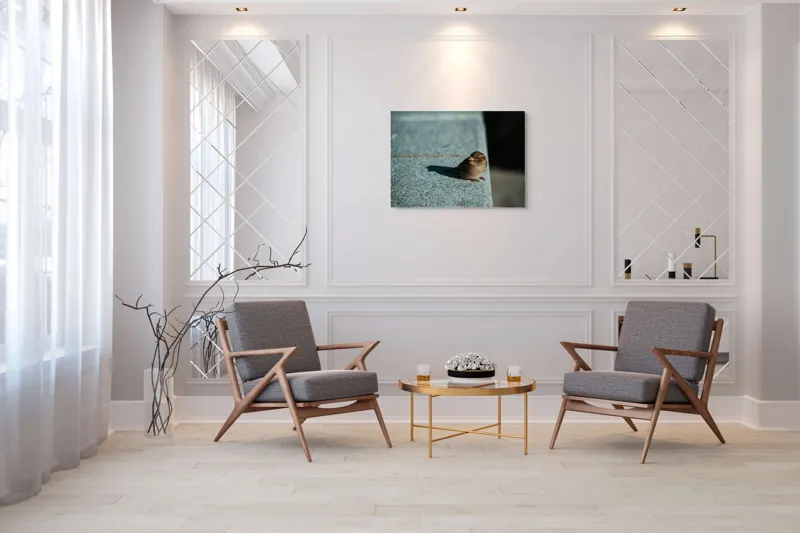 Tablou Canvas, "Vrăbiuța pe marginea zidului gri", Pasăre, Umbra, Piatră, Lumina, Privire, Fragilitate, Singurătate, 100 x 70 cm – poza 5