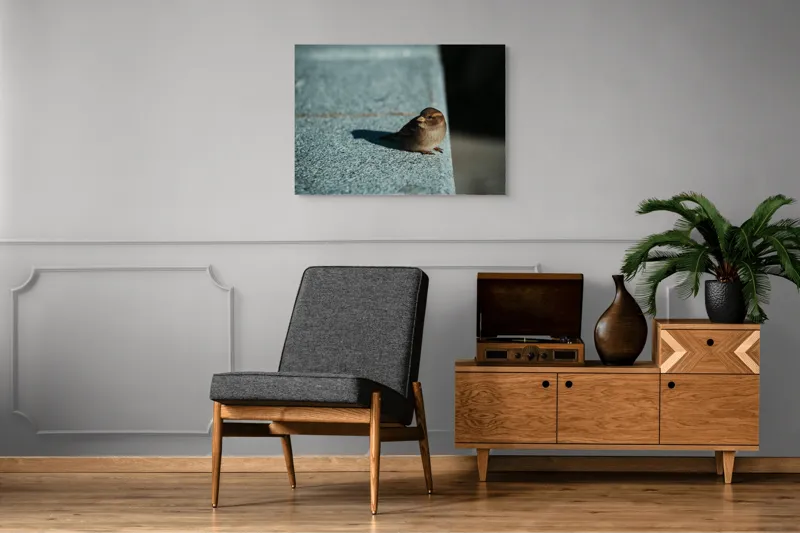 Tablou Canvas, "Vrăbiuța pe marginea zidului gri", Pasăre, Umbra, Piatră, Lumina, Privire, Fragilitate, Singurătate, 100 x 70 cm – poza 8