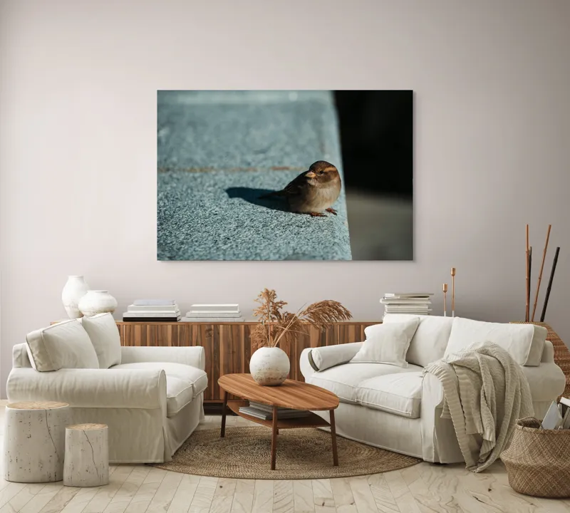 Tablou Canvas, "Vrăbiuța pe marginea zidului gri", Pasăre, Umbra, Piatră, Lumina, Privire, Fragilitate, Singurătate, 150 x 100 cm – poza 3