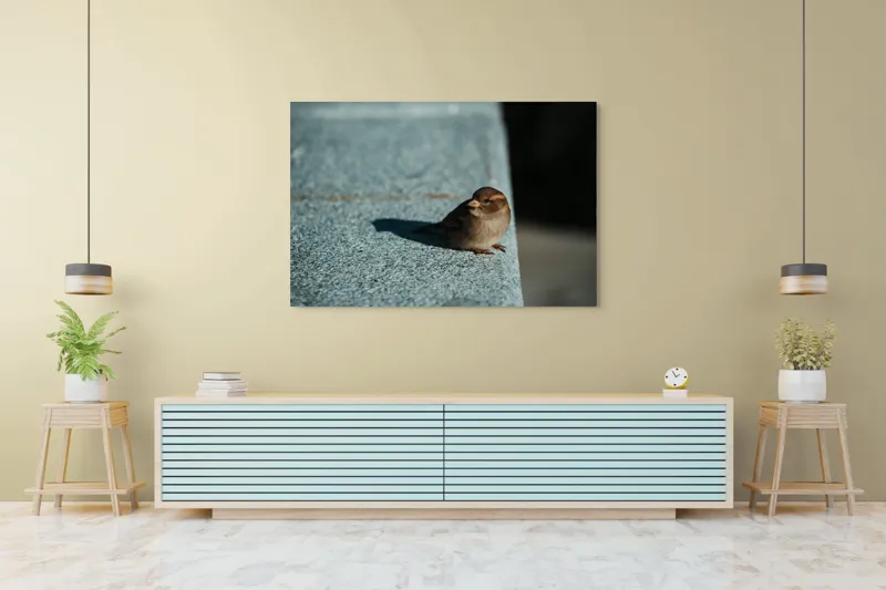 Tablou Canvas, "Vrăbiuța pe marginea zidului gri", Pasăre, Umbra, Piatră, Lumina, Privire, Fragilitate, Singurătate, 150 x 100 cm – poza 6