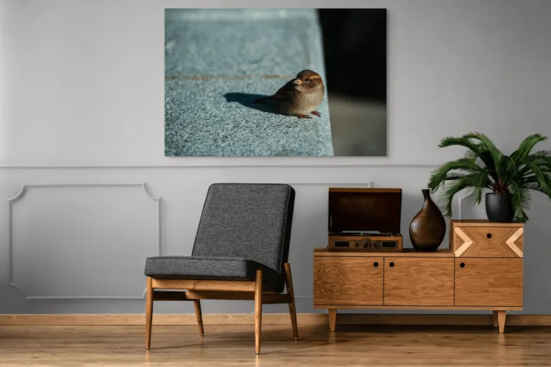 Tablou Canvas, "Vrăbiuța pe marginea zidului gri", Pasăre, Umbra, Piatră, Lumina, Privire, Fragilitate, Singurătate, 150 x 100 cm – poza 8
