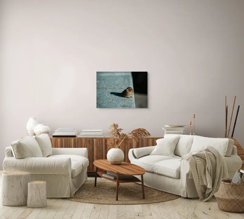 Tablou Canvas, "Vrăbiuța pe marginea zidului gri", Pasăre, Umbra, Piatră, Lumina, Privire, Fragilitate, Singurătate, 70 x 50 cm – poza 6