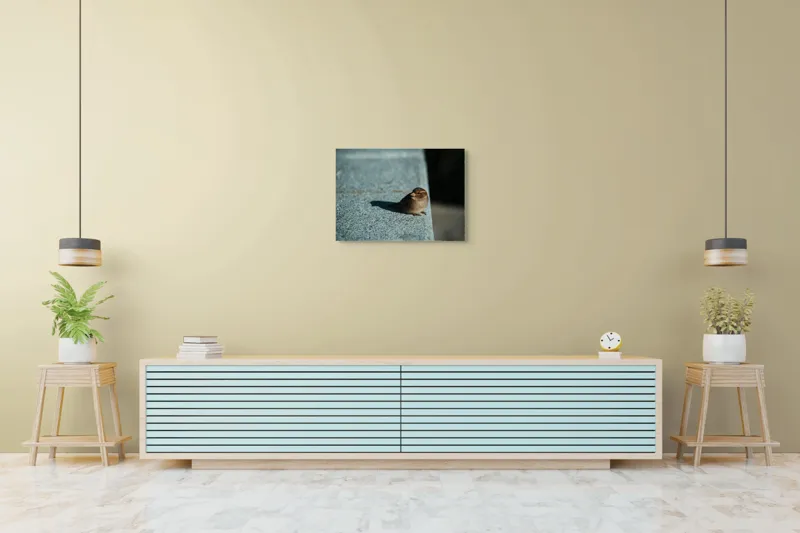 Tablou Canvas, "Vrăbiuța pe marginea zidului gri", Pasăre, Umbra, Piatră, Lumina, Privire, Fragilitate, Singurătate, 70 x 50 cm – poza 7
