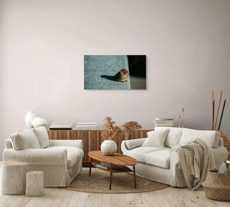 Tablou Canvas, "Vrăbiuța pe marginea zidului gri", Pasăre, Umbra, Piatră, Lumina, Privire, Fragilitate, Singurătate, 90 x 50 cm – poza 4