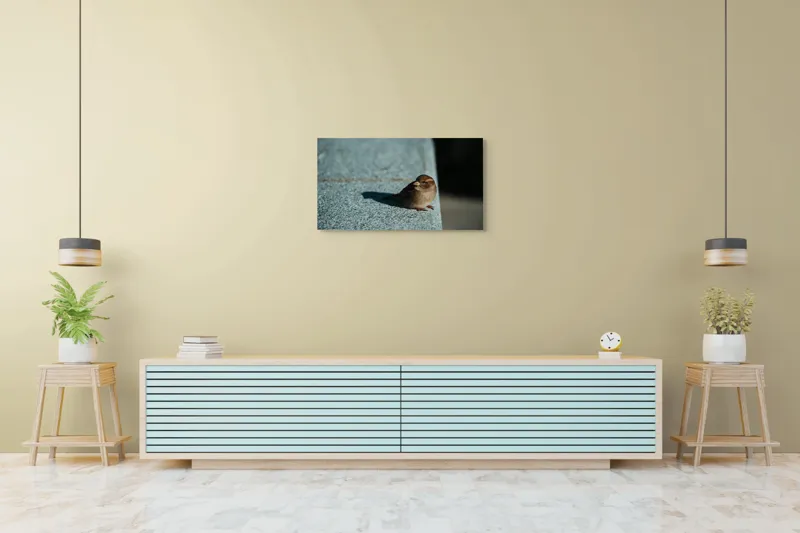 Tablou Canvas, "Vrăbiuța pe marginea zidului gri", Pasăre, Umbra, Piatră, Lumina, Privire, Fragilitate, Singurătate, 90 x 50 cm – poza 5