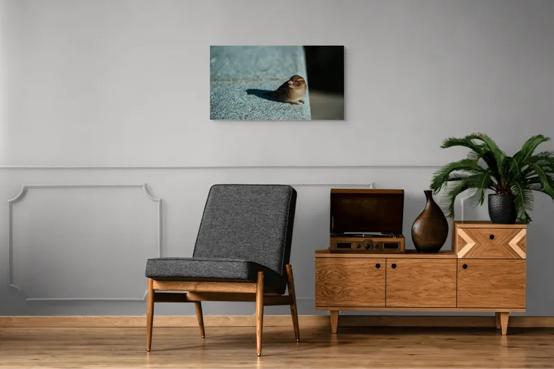 Tablou Canvas, "Vrăbiuța pe marginea zidului gri", Pasăre, Umbra, Piatră, Lumina, Privire, Fragilitate, Singurătate, 90 x 50 cm – poza 6