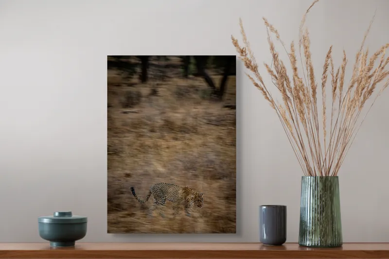 Tablou Canvas, "Leopard în goana prin savană", Leopard, Viteză, Pădure, Precizie, Camuflaj, Agilitate, Eleganță, Sălbăticie, 39 x 54 cm – poza 3