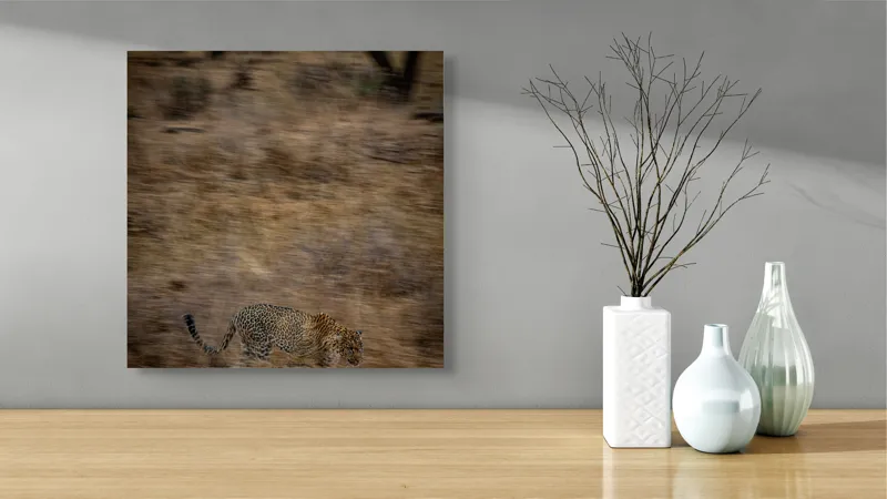 Tablou Canvas, "Leopard în goana prin savană", Leopard, Viteză, Pădure, Precizie, Camuflaj, Agilitate, Eleganță, Sălbăticie, 50 x 50 cm – poza 3